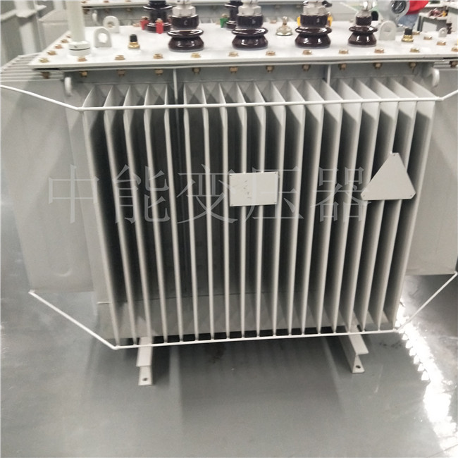 毕节S20-800KVA变压器